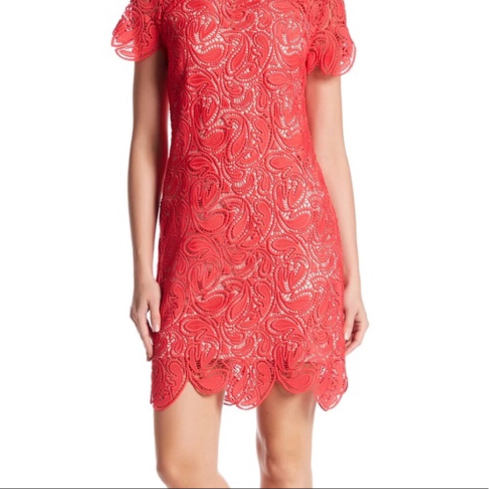 Shoshanna Rae Crochet Dress